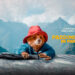 Paddington in Peru: The Bear Necessity of Taking Flight